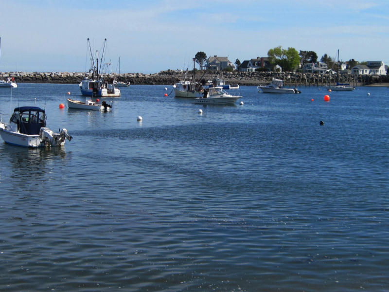 Rye Harbor with several fishing boats floating on the waterfront.